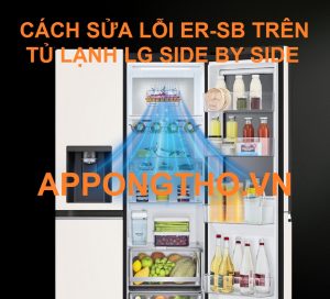 (FAQ) Hỏi Đáp Lỗi ER-SB tủ lạnh LG Side By Side